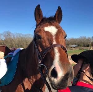 Meet your Posher, Kate